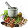 Shahranoush, supply and distribution of medicinal plants in Shiraz