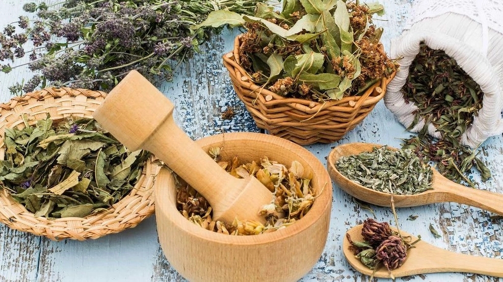 Shahranoush, supply and distribution of medicinal plants in Shiraz