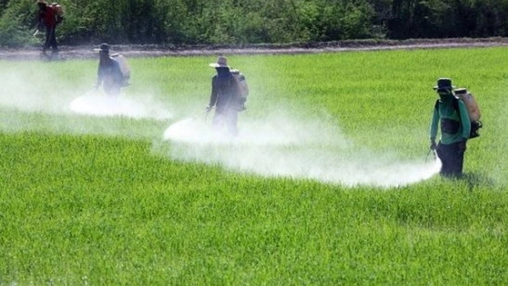 Niknam Industry, Toxins and Seed Sale in Tehran