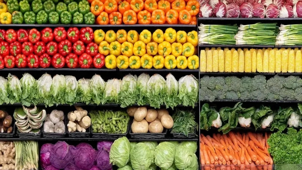 Buy Karaj Organic Agriculture Direct from the producer