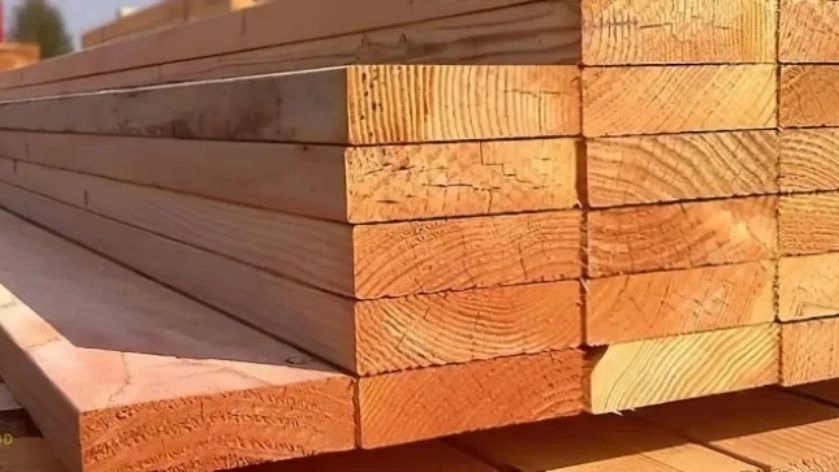 Heshmati wood, Russian beech and spidar sale in Mashhad