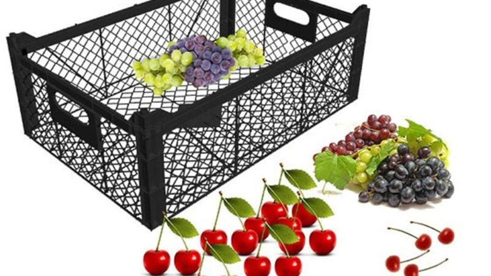 Production of plastic fruit baskets in Mazandaran suitable for gardeners and stores