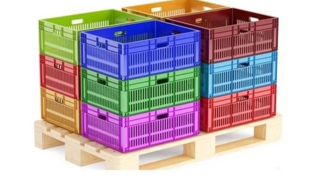 Braznejad production, production of fruit baskets in Babylon