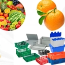 Braznejad production, production of fruit baskets in Babylon