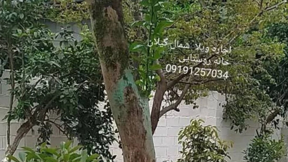 Moradi Eci, Rental Villa and Residence in Nakhlat Gilan Village