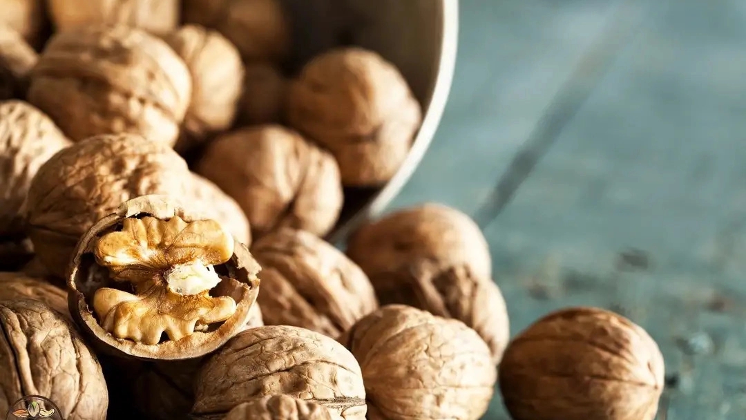 Khosravi export, walnut supplier in Hamadan