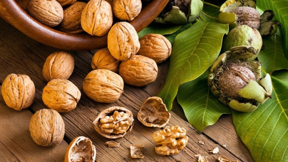 Major Walnut Purchase of Khosravi Export
