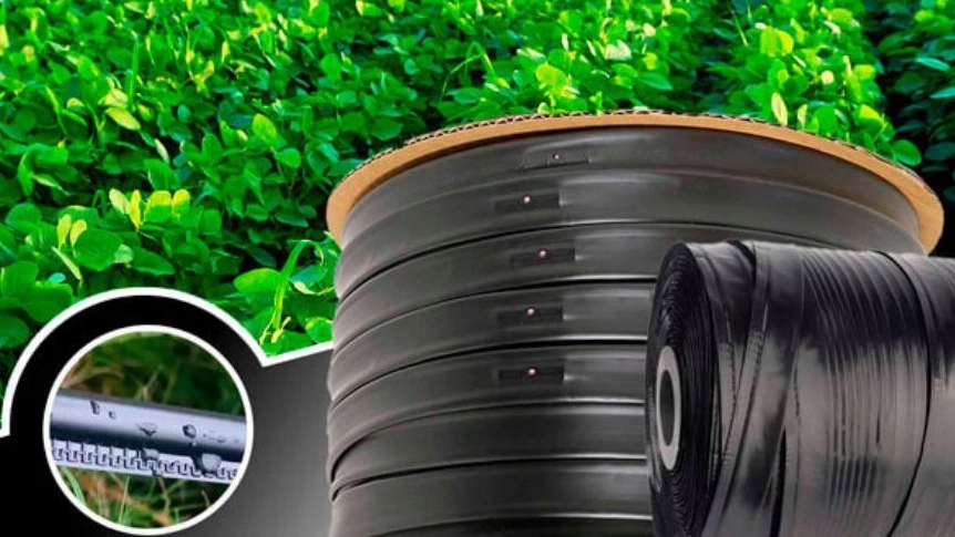 Bardia Polymer Khorram, Production of drip irrigation strips in Zanjan