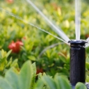 Green Avand Company, Sale of Polyethylene Dropper Irrigation Equipment in Mashhad