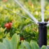 Green Avand Company, Sale of Polyethylene Dropper Irrigation Equipment in Mashhad