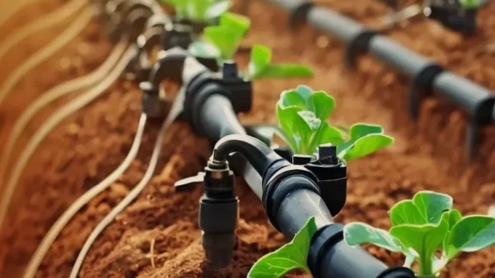 Azin Plast Jahan Company, Irrigation Equipment Production in Isfahan