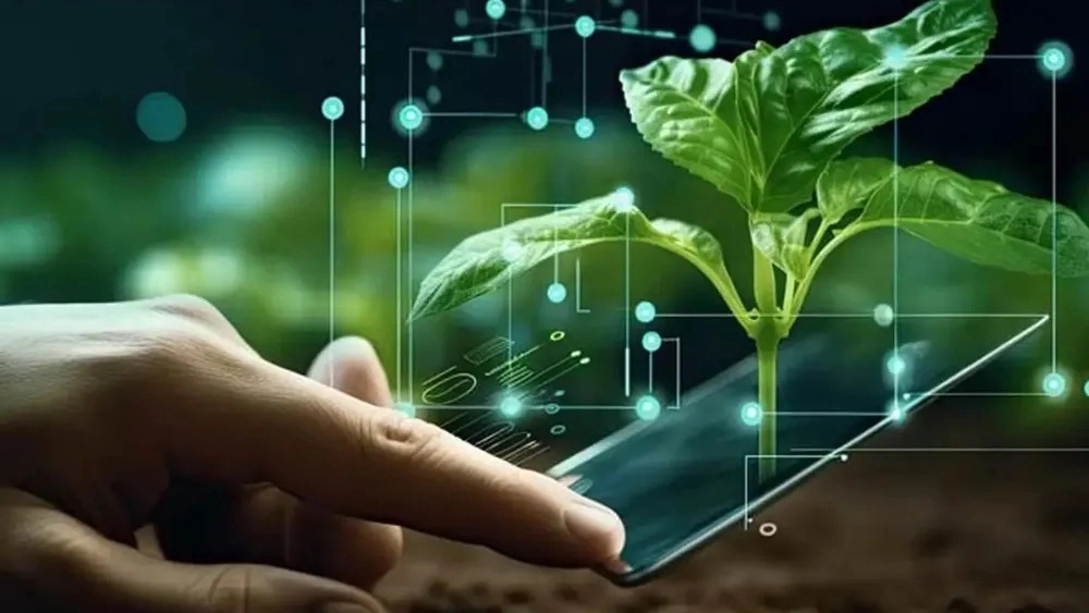Artificial Intelligence in Irrigation and Smart Agriculture in Tabriz