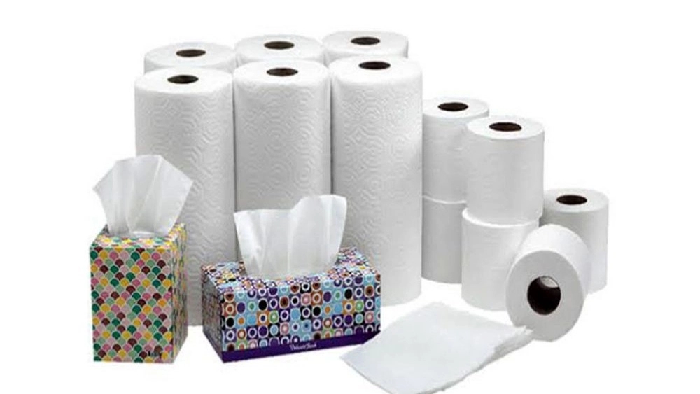 Sirvan Gostar Company, Production of Paper Napkins in Tehran