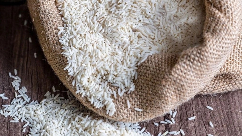 Spring Rice, Production and Sale of Iranian Rice and Anbarabo in Khuzestan