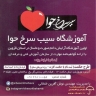 Eve Red Apple School, Skin Care and Beauty Training in Qazvin