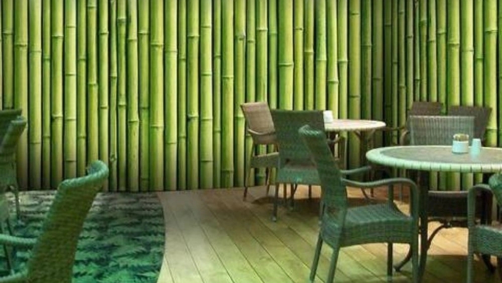 Natural bamboo wood; Special choice for decoration and green design