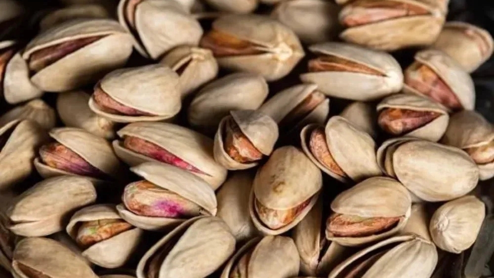 Amiran Export, Pistachio Producer in Rafsanjan