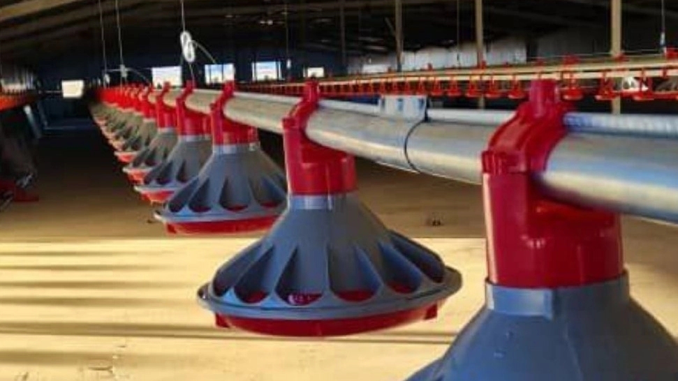 Sample Poultry Company, Production of Poultry Equipment in Qazvin Spa