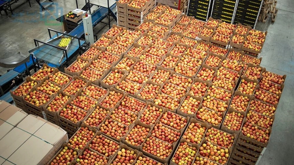Radin Parham Trading, Import of Food Raw Materials in Karaj