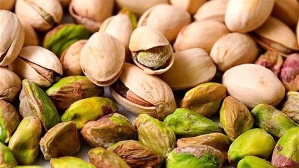 Blessing Trading, Pistachio Sales and Tree Almonds in Mashhad
