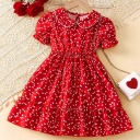Shell Apparel, Sale of Men's Dresses for Women's T -Shirts Pants in Urmia