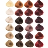 Original Store, Sale and Supply of Hair Colors in Tehran