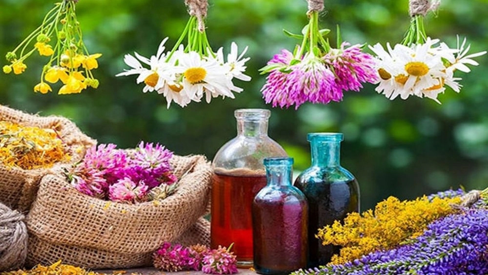 Atari Chamomile, Sale of Spices and Medicinal Plants in Shahrekord