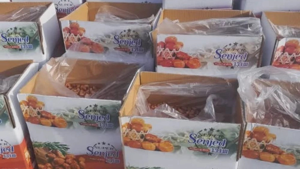 Golestan Nuts, Sale of Blossom Powder and Seedlings in Shahroud