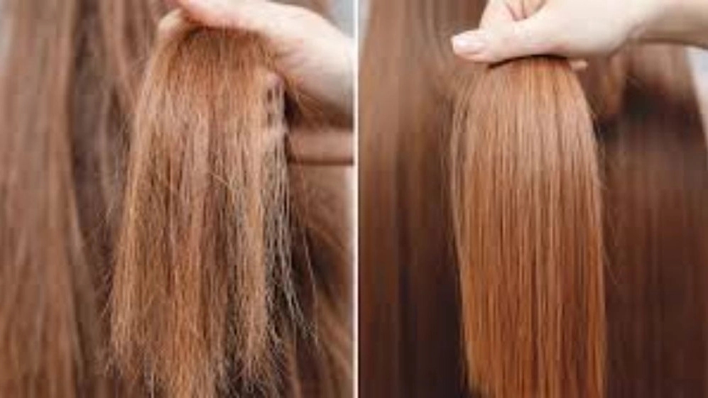 Priya Hair Treatment, Creatine Protein and Botox Hair in Rasht