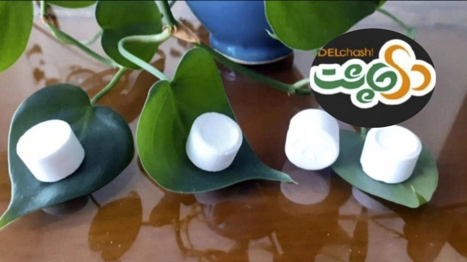 Oral salt pill in Garmsar
