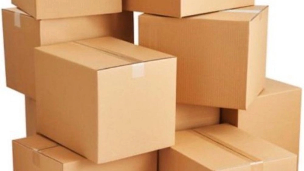 Production of toy carton with dedicated printing and logo