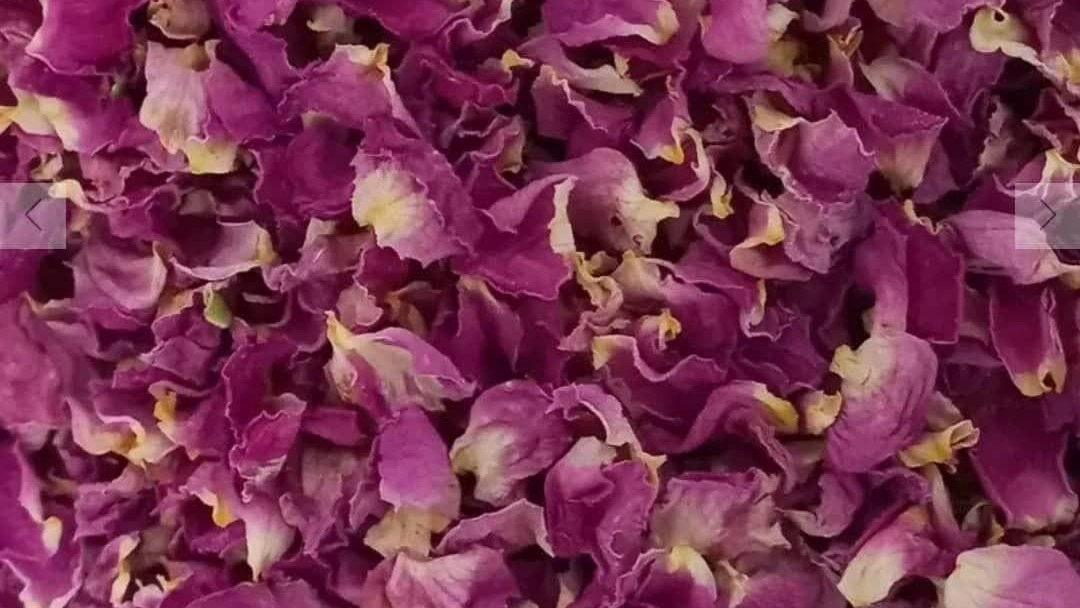Flower Mohammadi Flower at Affordable Price