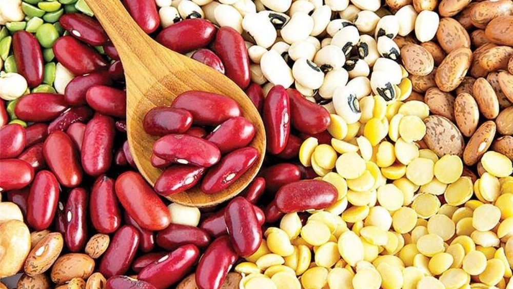 Beanly sorting; A new step in improving the quality and marketing of agricultural products