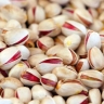 Derakhshan Export Trading Company, Pistachio and Brain Sales in Yazd