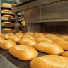 Easy Najafi Baking, Selling and Repair of Full Automatic Bakery Devices in Saveh