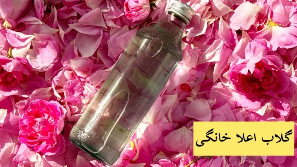 Azerbaijan Home Rose, Production and Sale of Home Rose Households in Urmia
