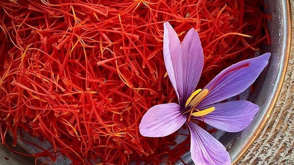 Difference of Negin Saffron, Sargol and Pahlavi