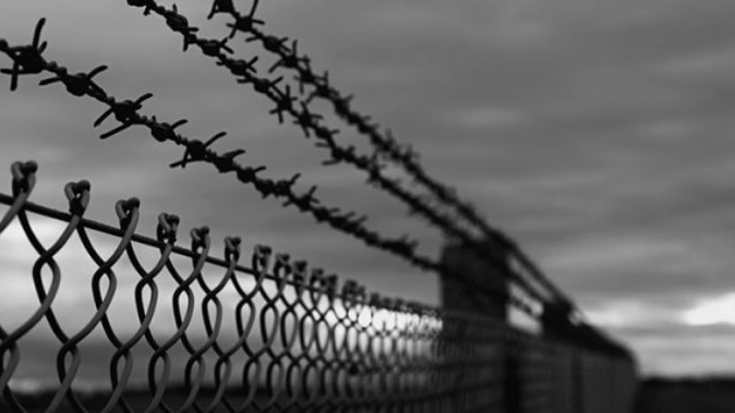 Reza's wire industries, production and sale of fence and barbed wire in Tabriz