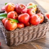Apple Orum Trading, Wholesale Sales and Apple Exports in Urmia