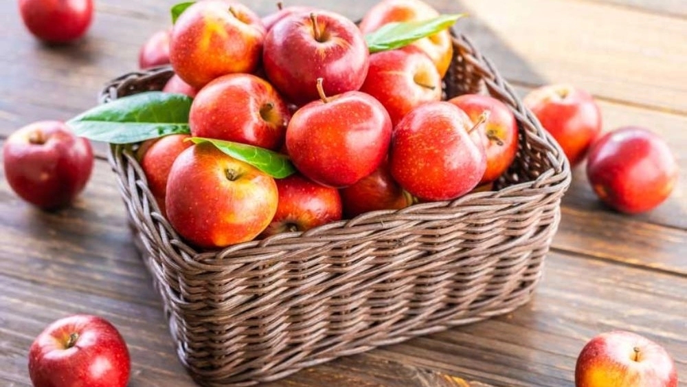 Apple Orum Trading, Wholesale Sales and Apple Exports in Urmia