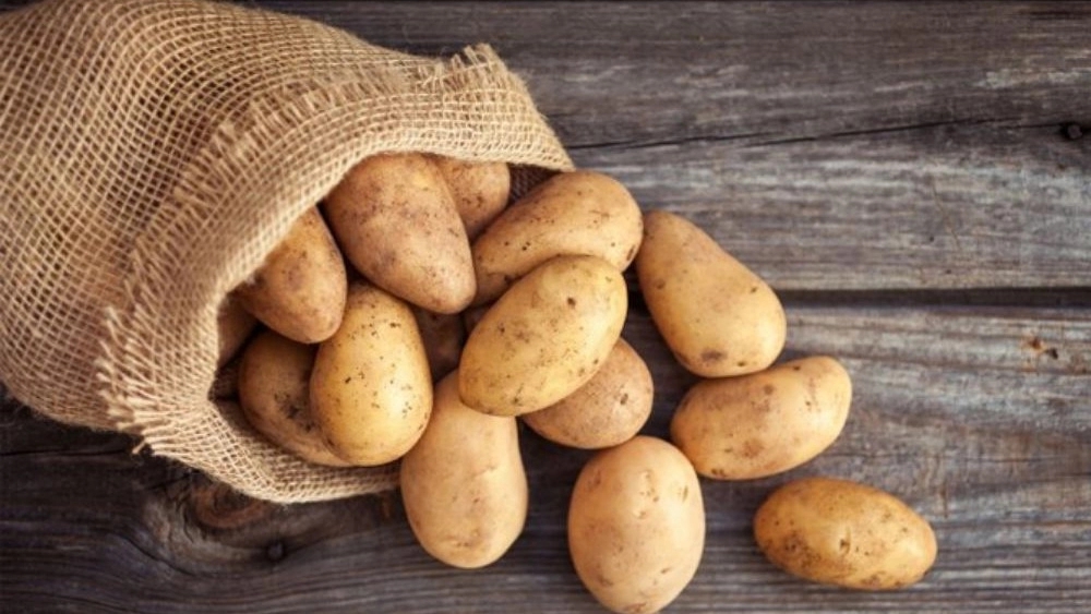 Rafi Khani Trading, Wholesale Sales and Exports of Potato and Garlic in Hamadan