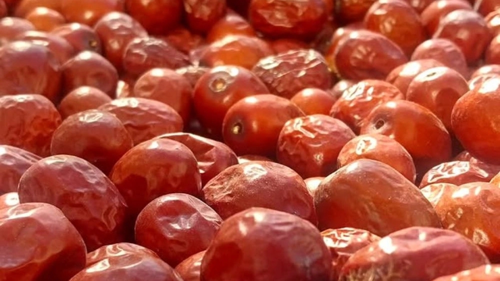 Saffron World, Production and Sales of Saffron Nut and Jujube Barberry in Qaenat