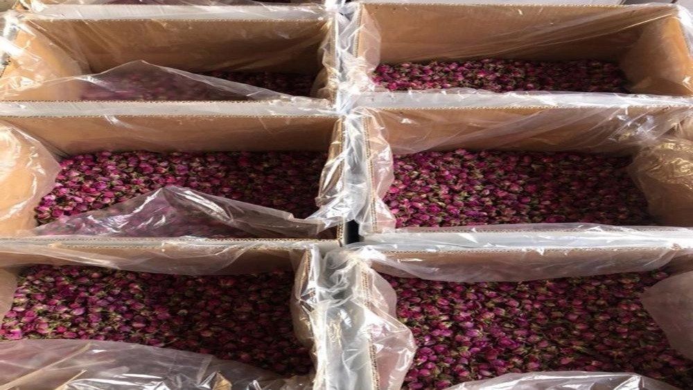 Sale of high quality Mohammadi flower bud