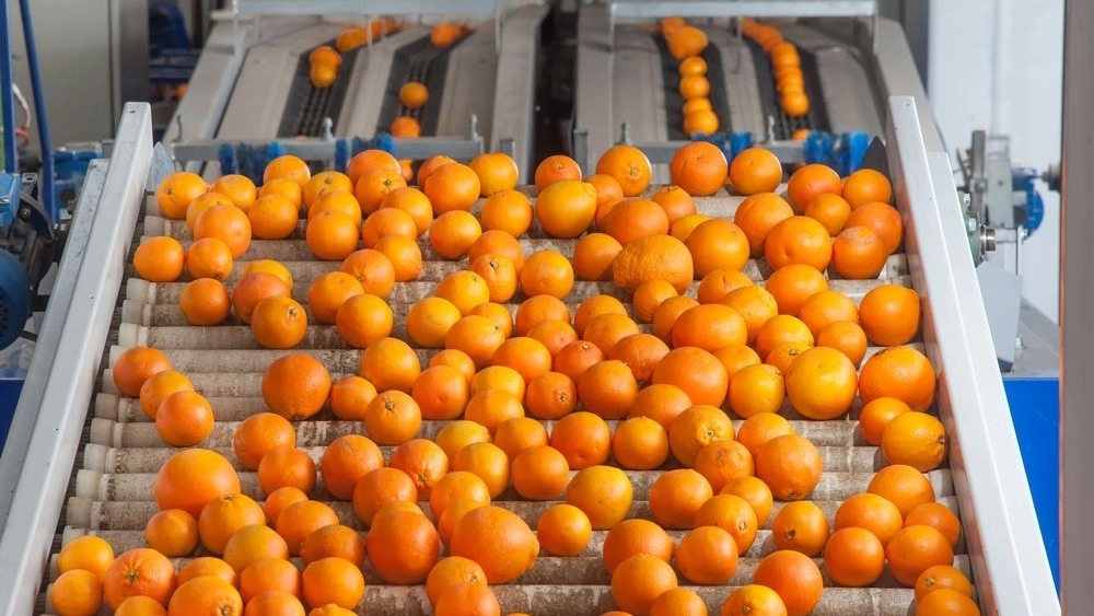 Iran Green Company, Fruit and Vegetable Processing Packaging and Distribution of Fruit and Vegetable