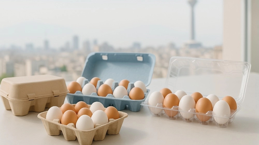 Introduction to the types of eggs produced by the Ayk and its applications in Tehran
