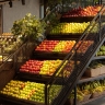 Matin Functional, Designer and Manufacturer of Step Pallets in Tehran