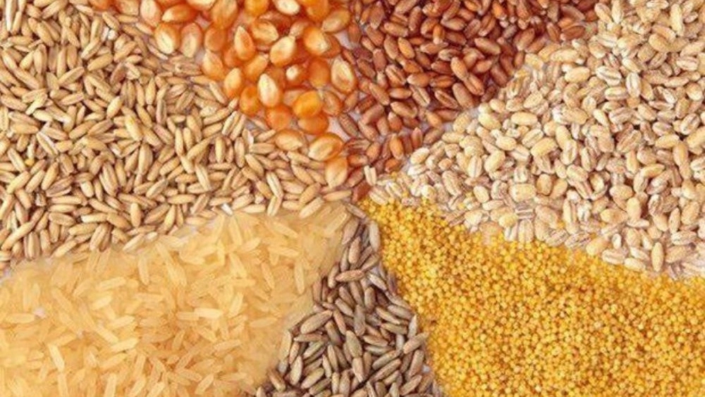 Moghimi Brothers Trading, Sale of all kinds of livestock inputs in Khuzestan