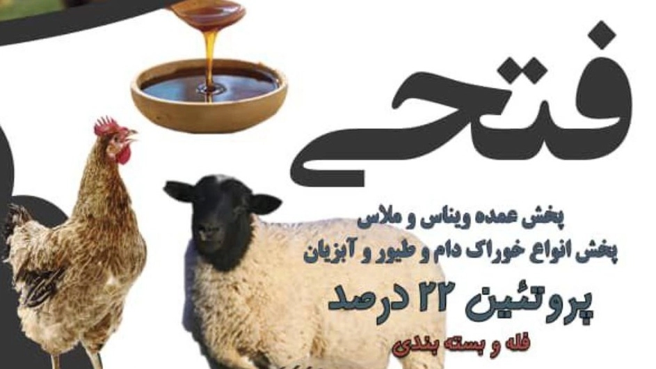 Sale of cow feed in Qazvin with new molasses and vinas