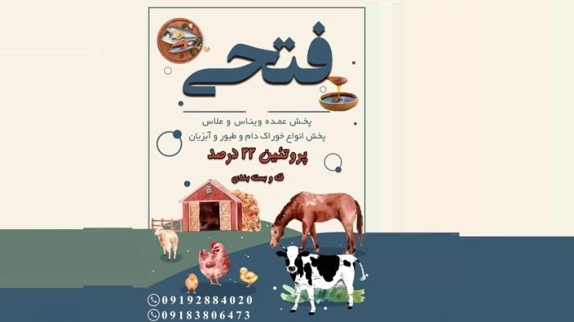 Buy chicken feed with Mellas and Vinas in Qazvin