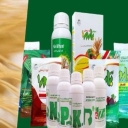 Green Technology, Urea and Sulfur Export Company in Tehran